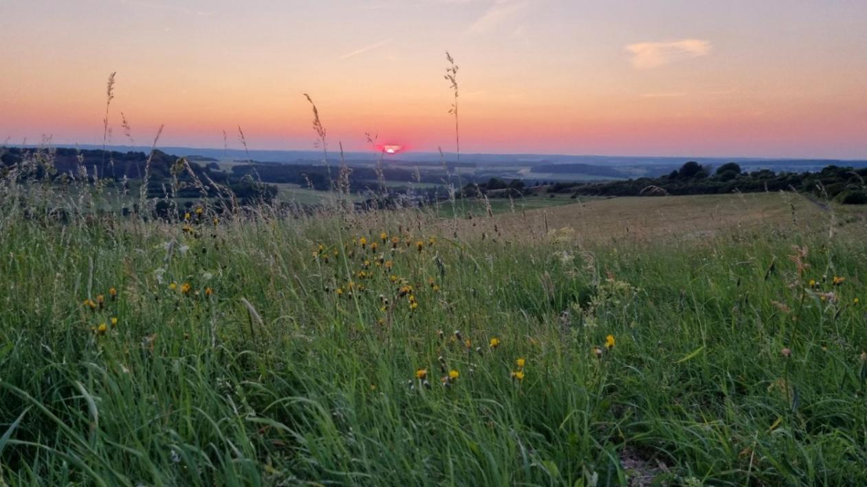 Ferienwohnung Eifelweh - Lieblingszeit Berndorf  Esterno foto